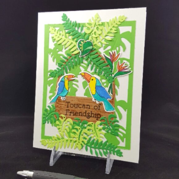 Toucan Note Card 'Toucan of Friendship' with Envelope - Picture 1 of 4